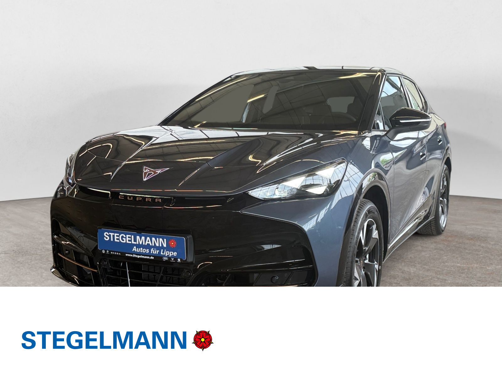 Fahrzeugbild_1