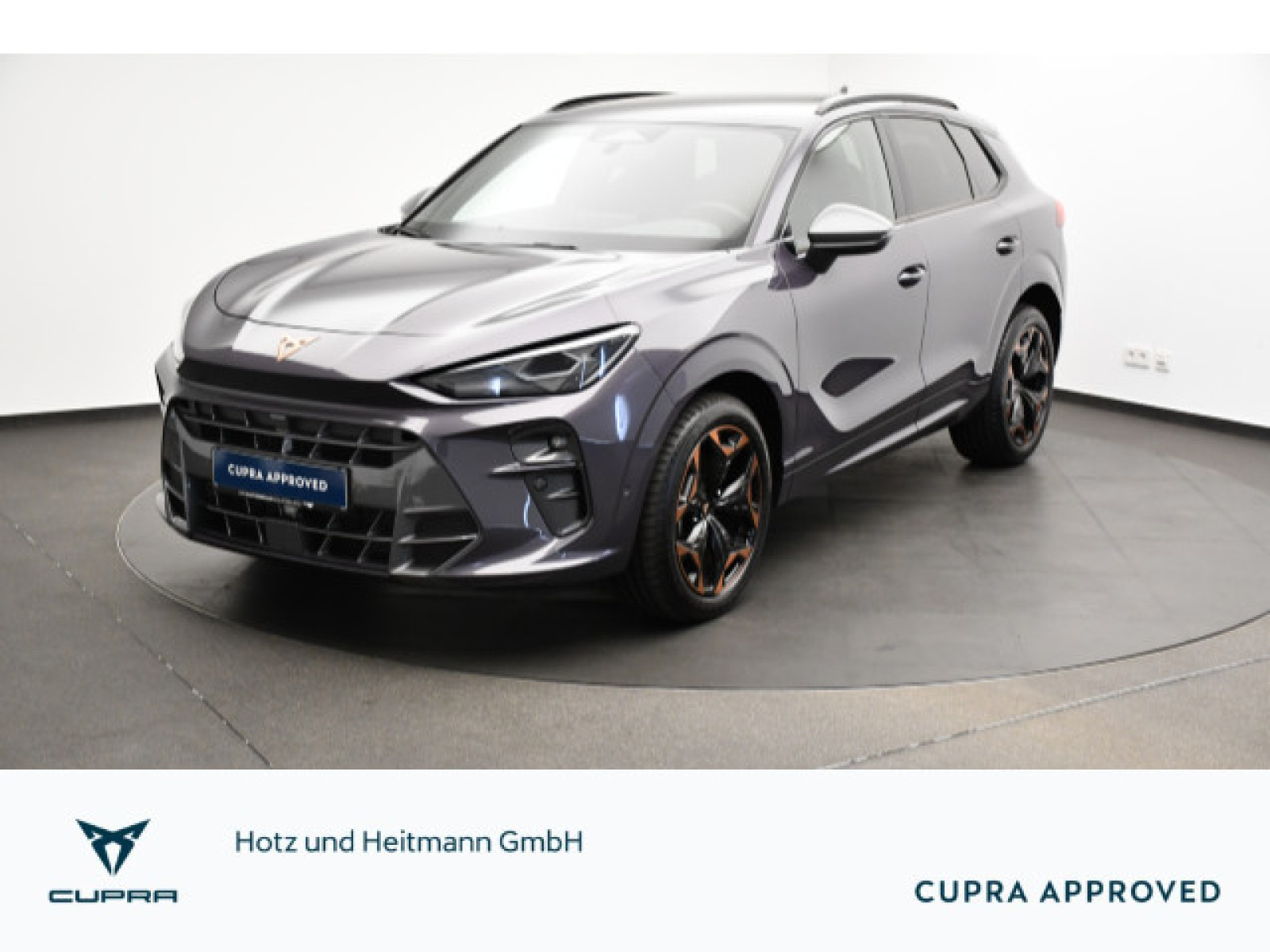 Cupra - Terramar_1