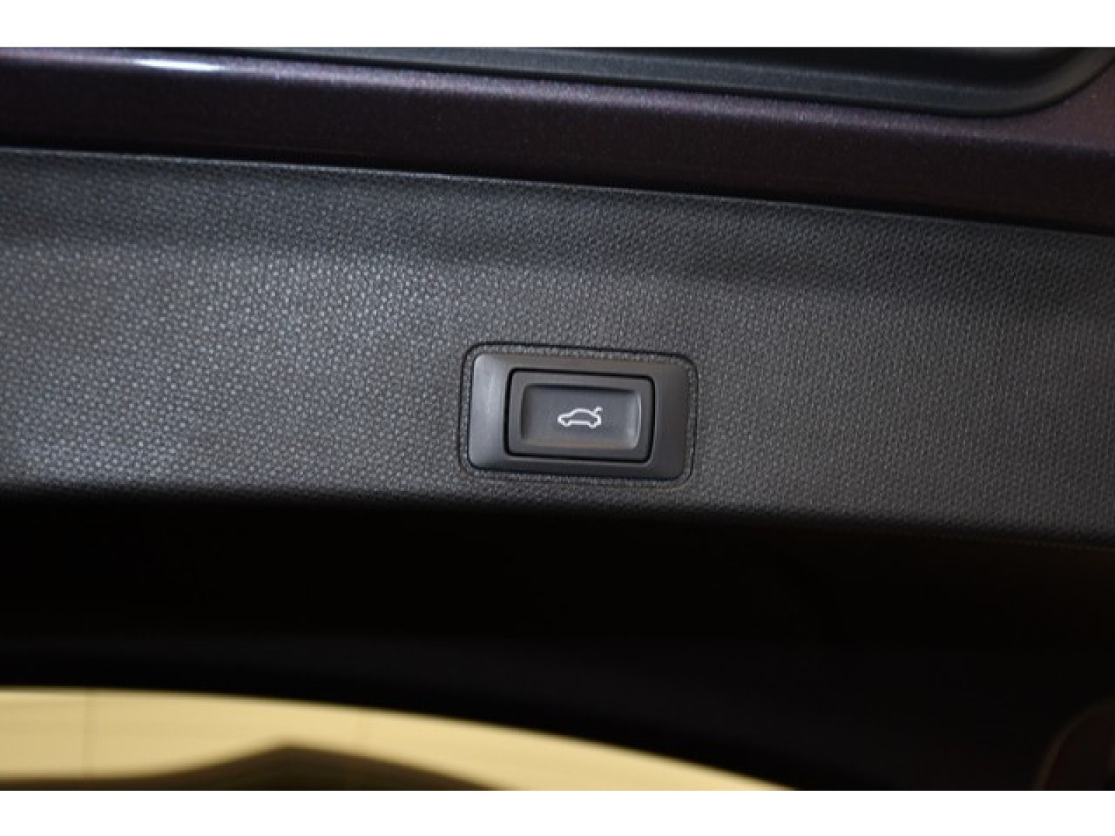 Cupra - Terramar_9