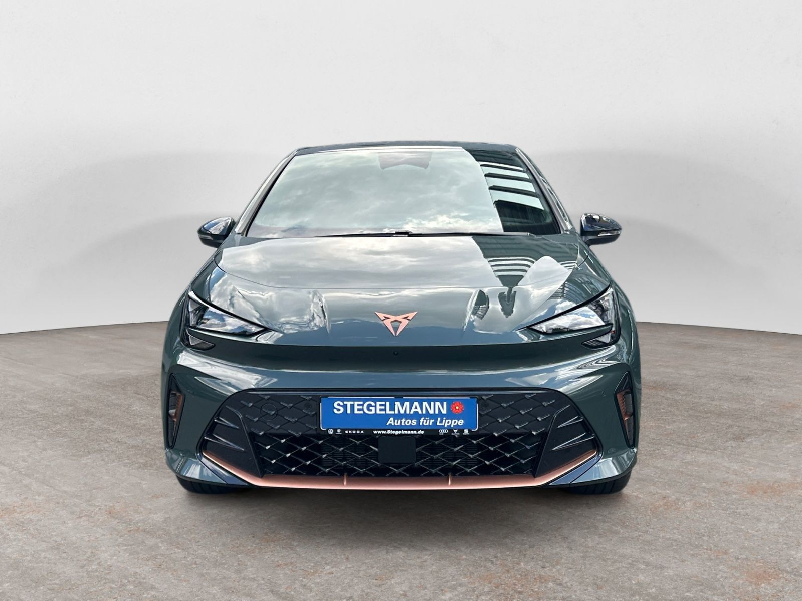 Cupra - Born_9