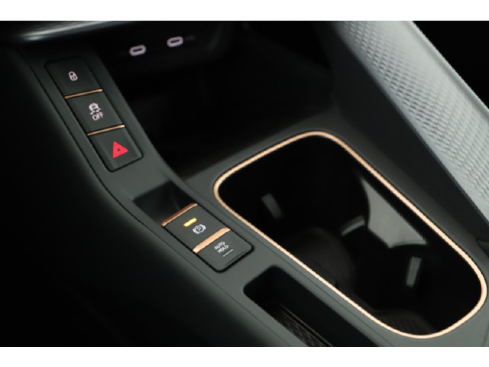 Cupra - Terramar_15