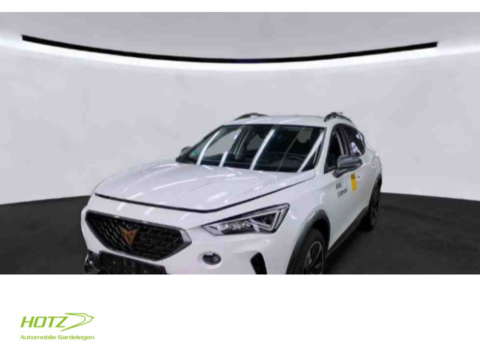 Formentor 1.5 TSI Navi/AHK/Klima/PDC