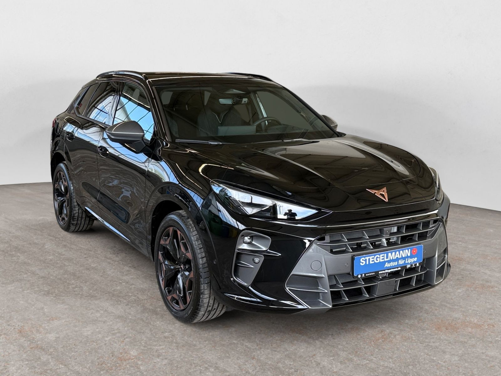 Cupra - Terramar_8