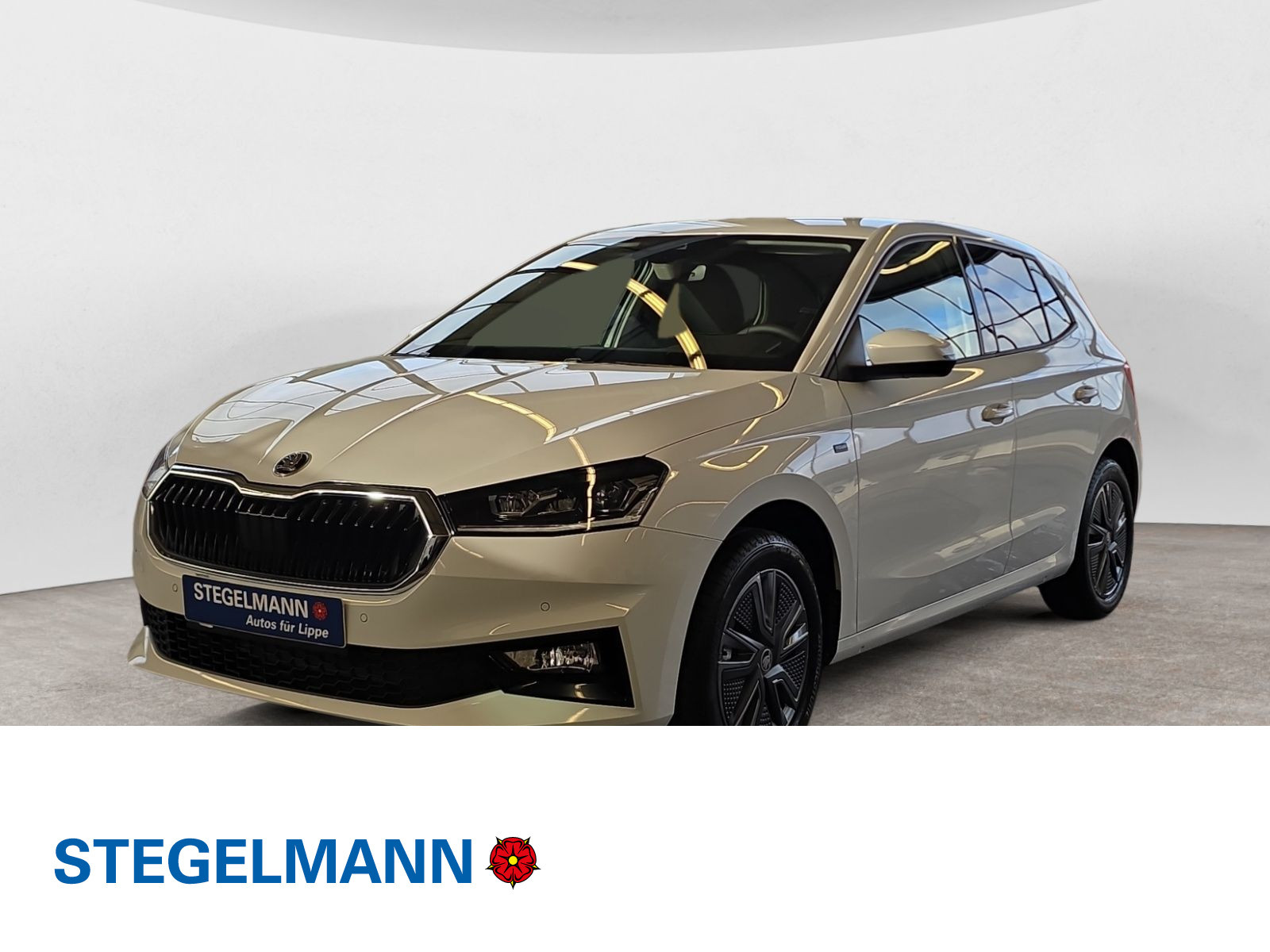 diagonal-frontansicht-aussen