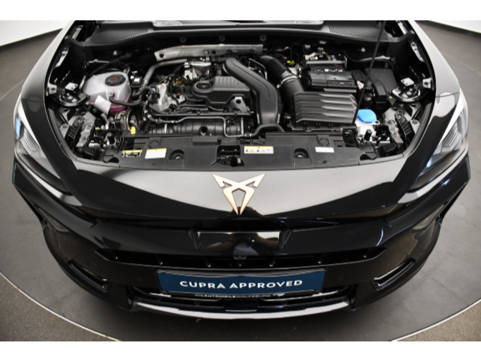 Cupra - Formentor_13