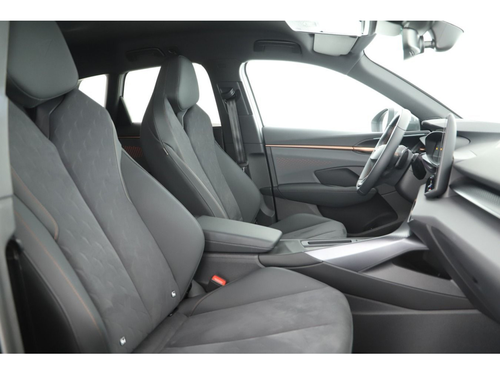 Cupra - Terramar_7
