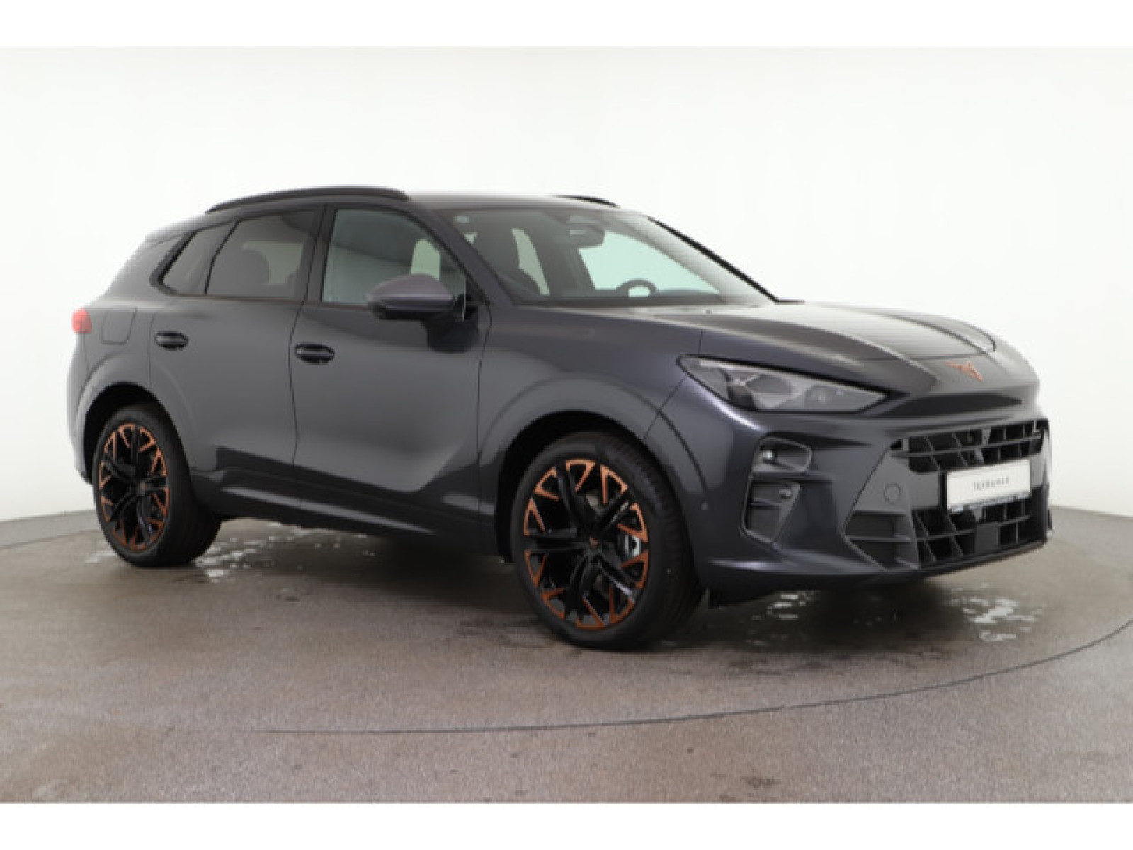 Cupra - Terramar_6