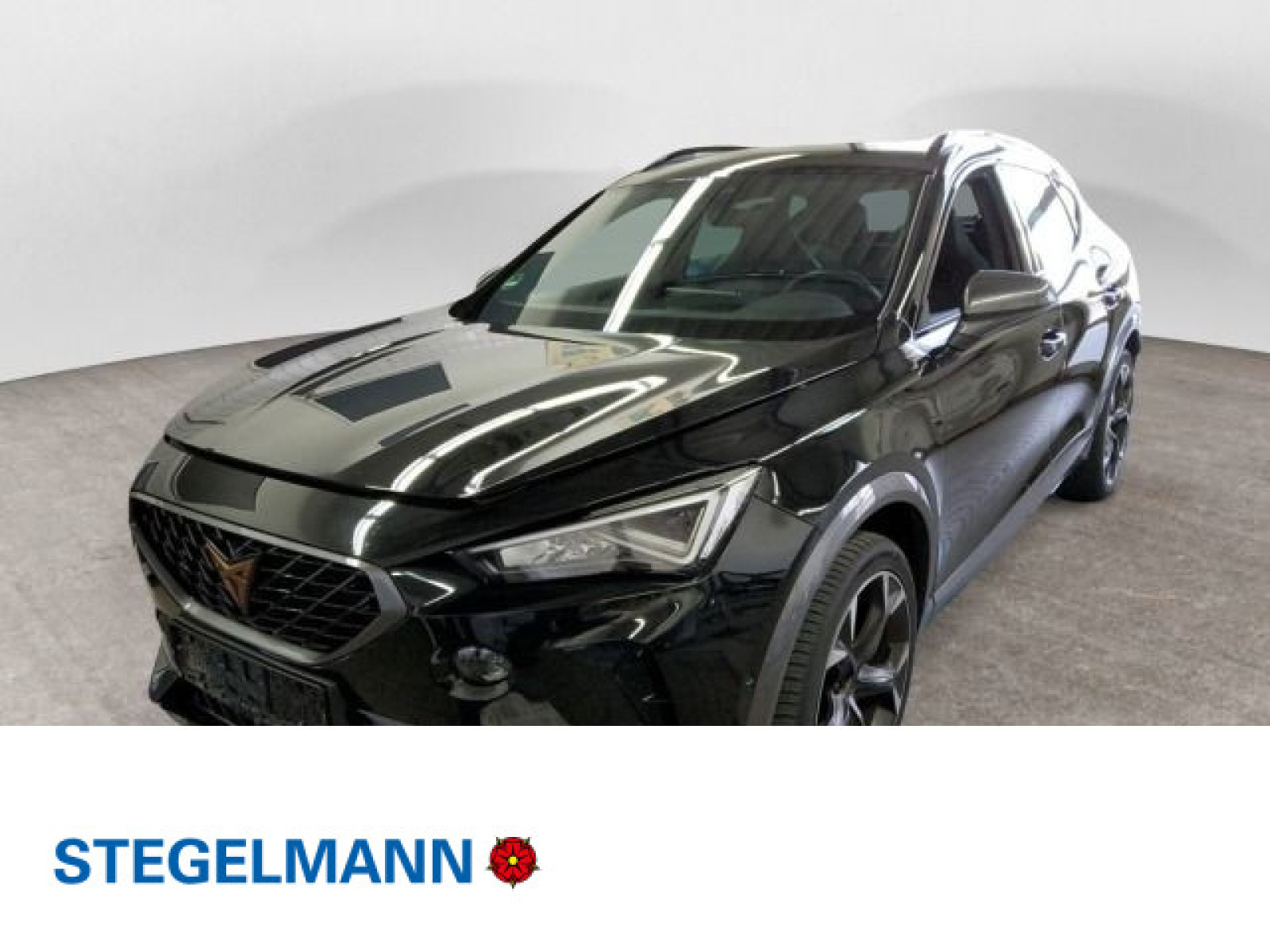 diagonal-frontansicht-aussen