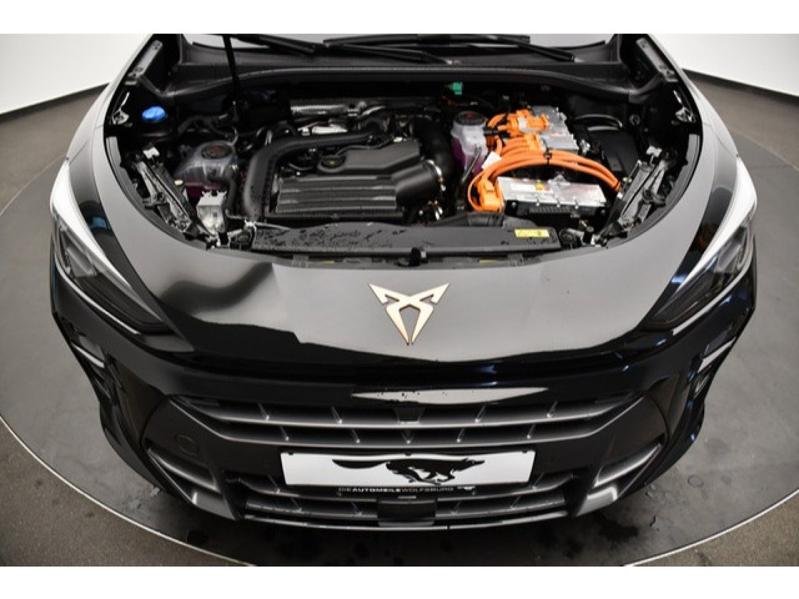 Cupra - Terramar_12