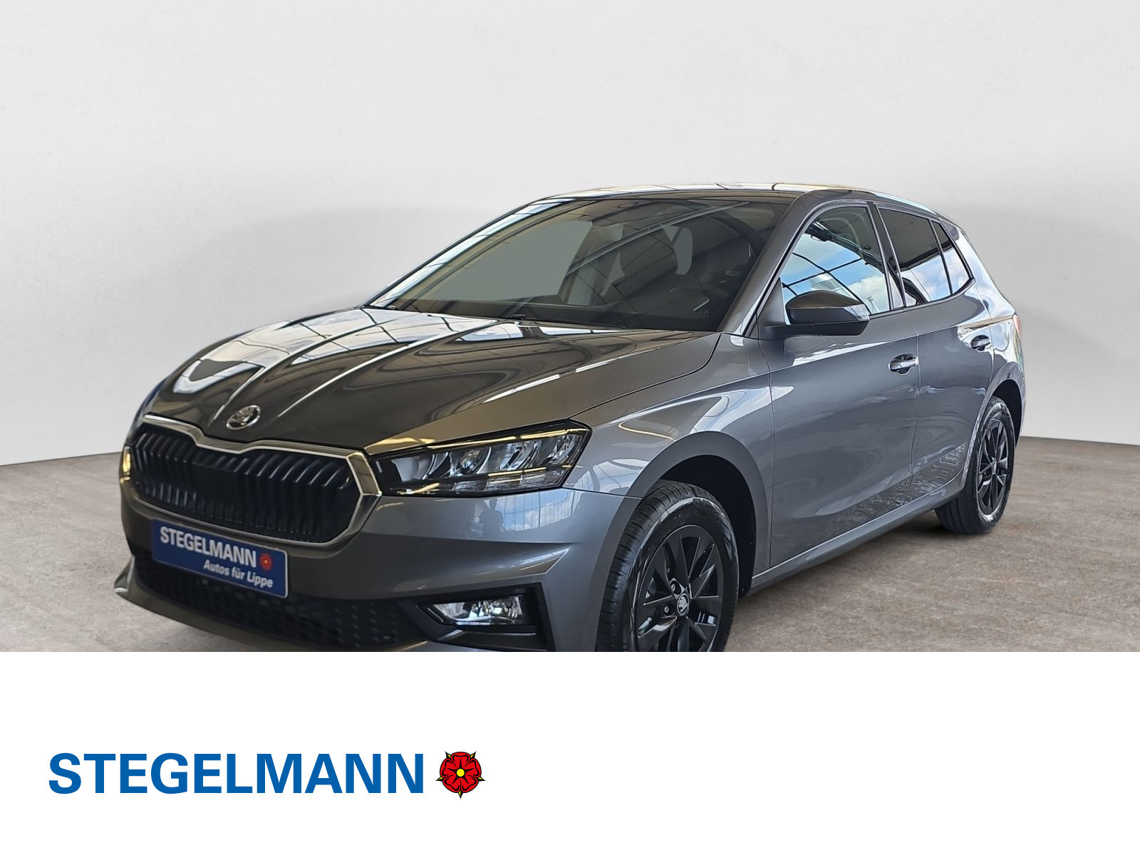 diagonal-frontansicht-aussen