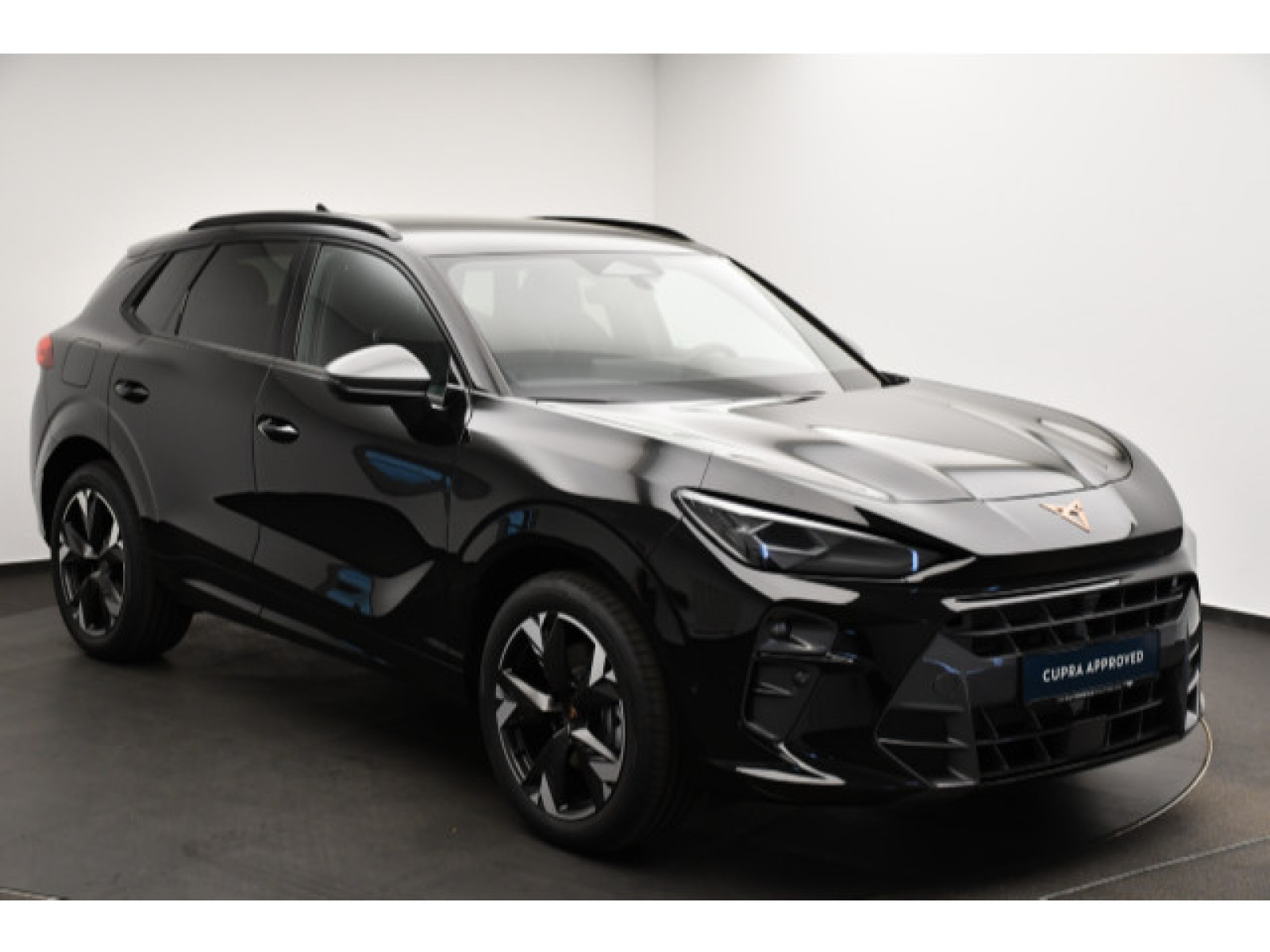 Cupra - Terramar_14