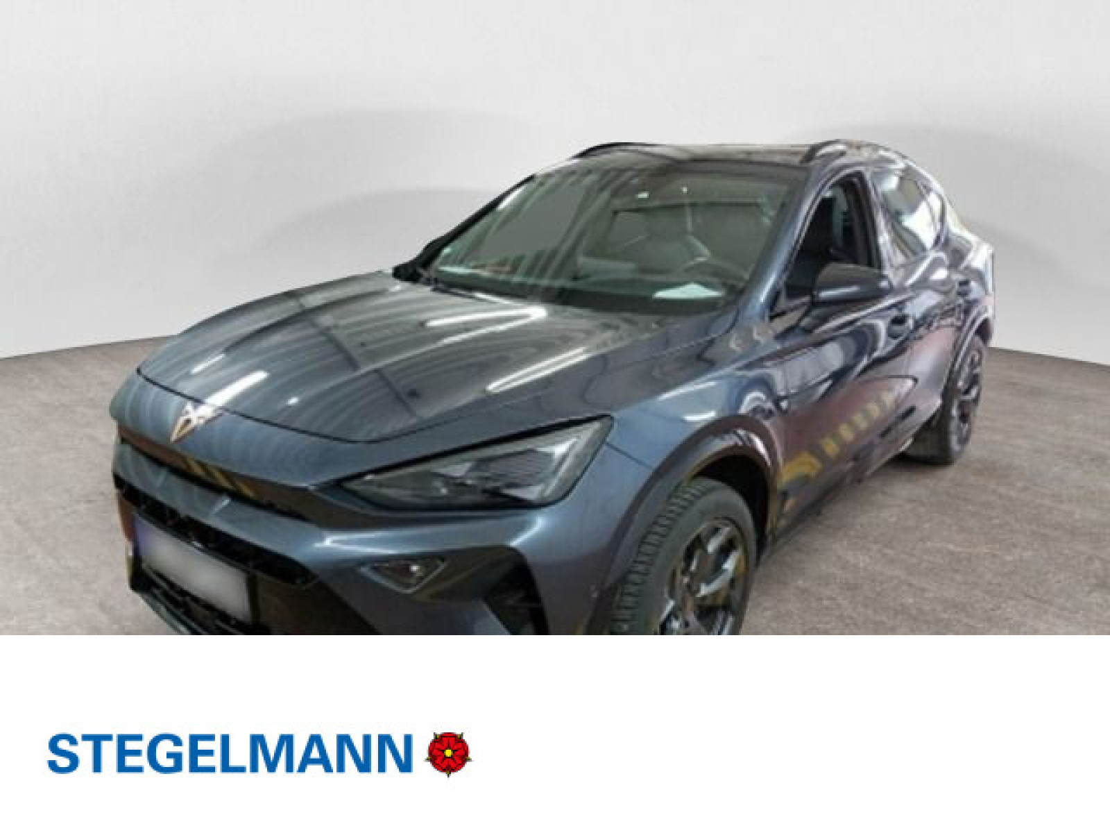 Fahrzeugbild_1