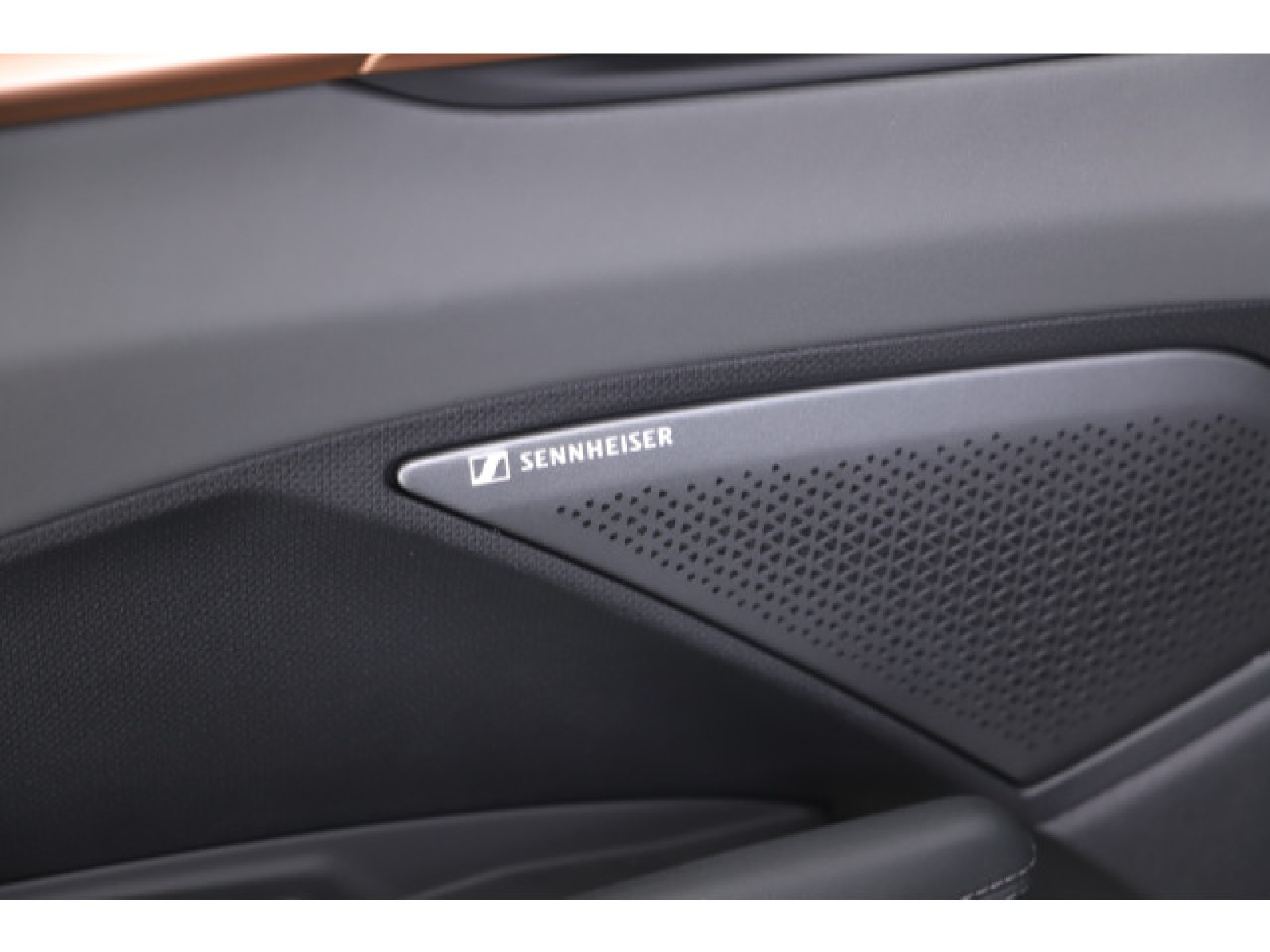 Cupra - Terramar_11