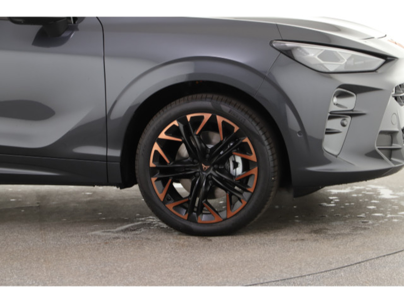 Cupra - Terramar_4