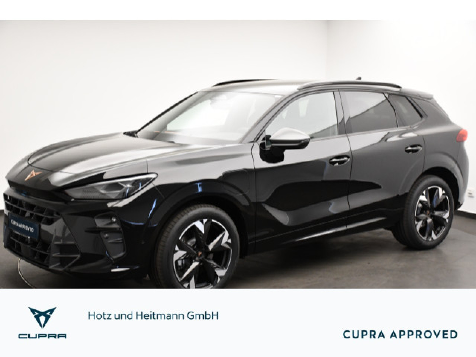 Cupra - Terramar_1