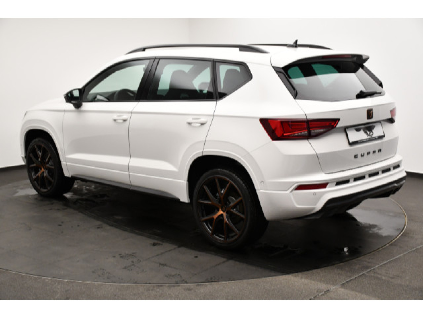 diagonalansicht-hinten-aussen