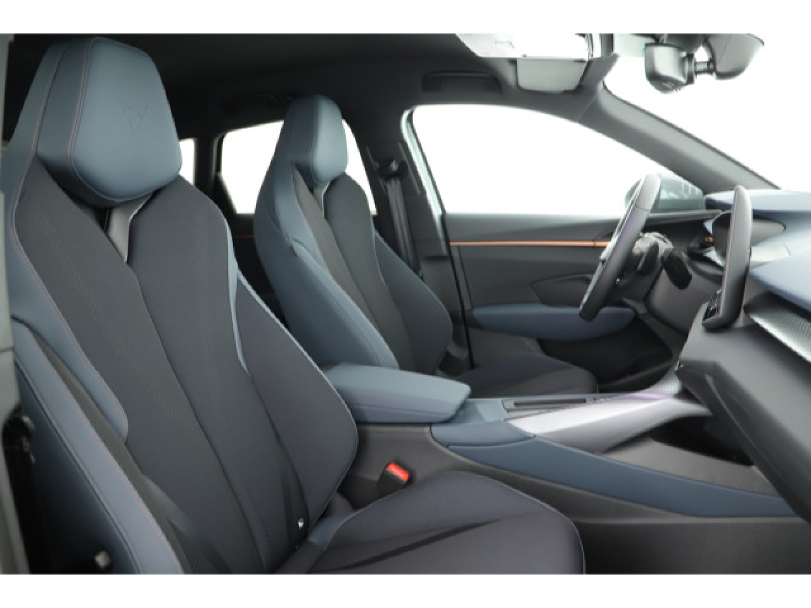 Cupra - Terramar_8