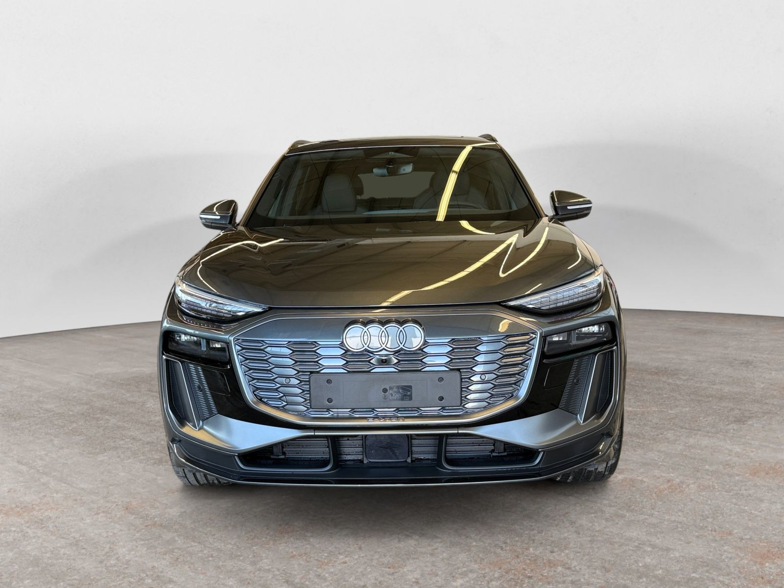 Audi - Q6 SUV e-tron_9