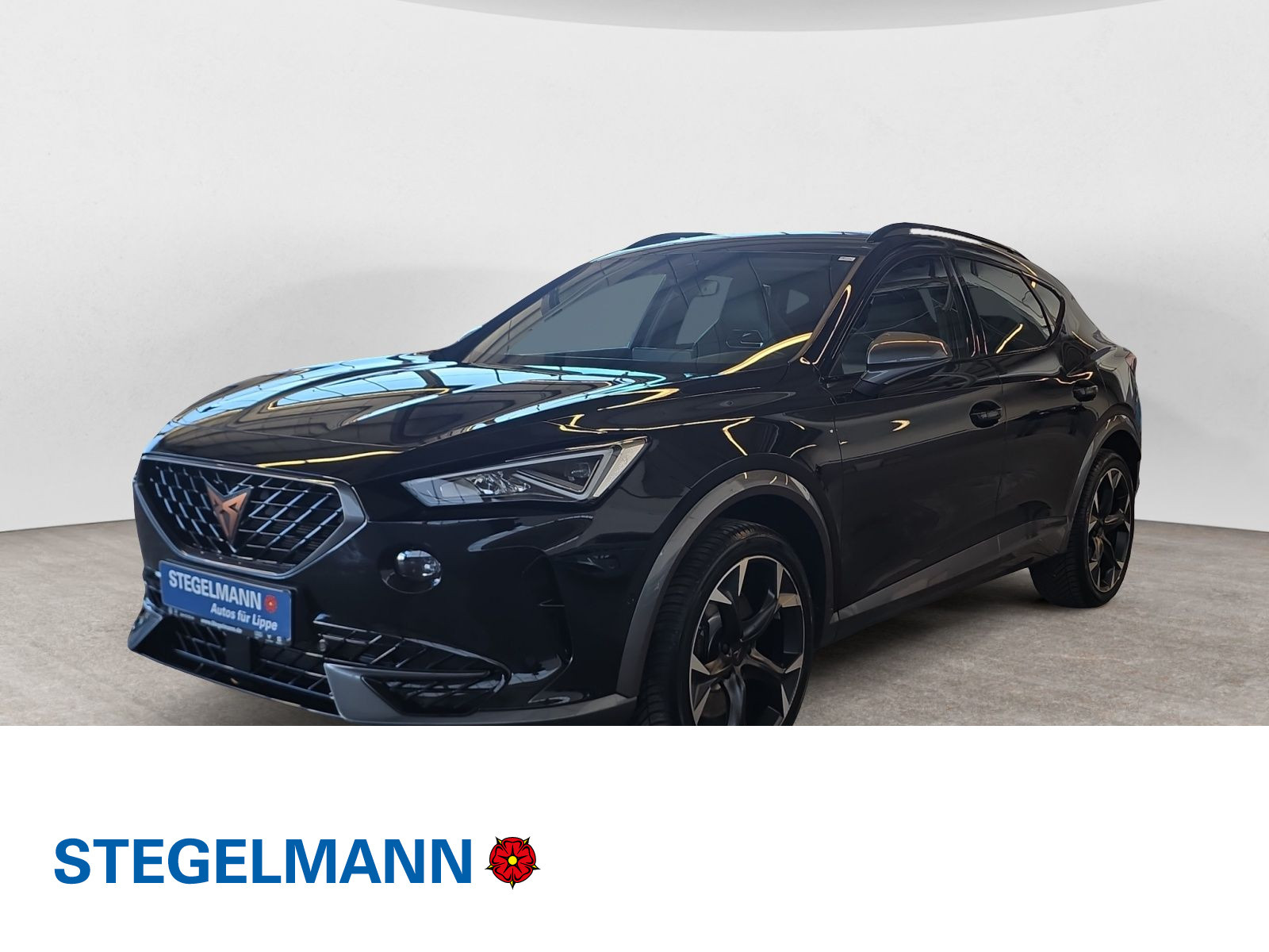 diagonal-frontansicht-aussen