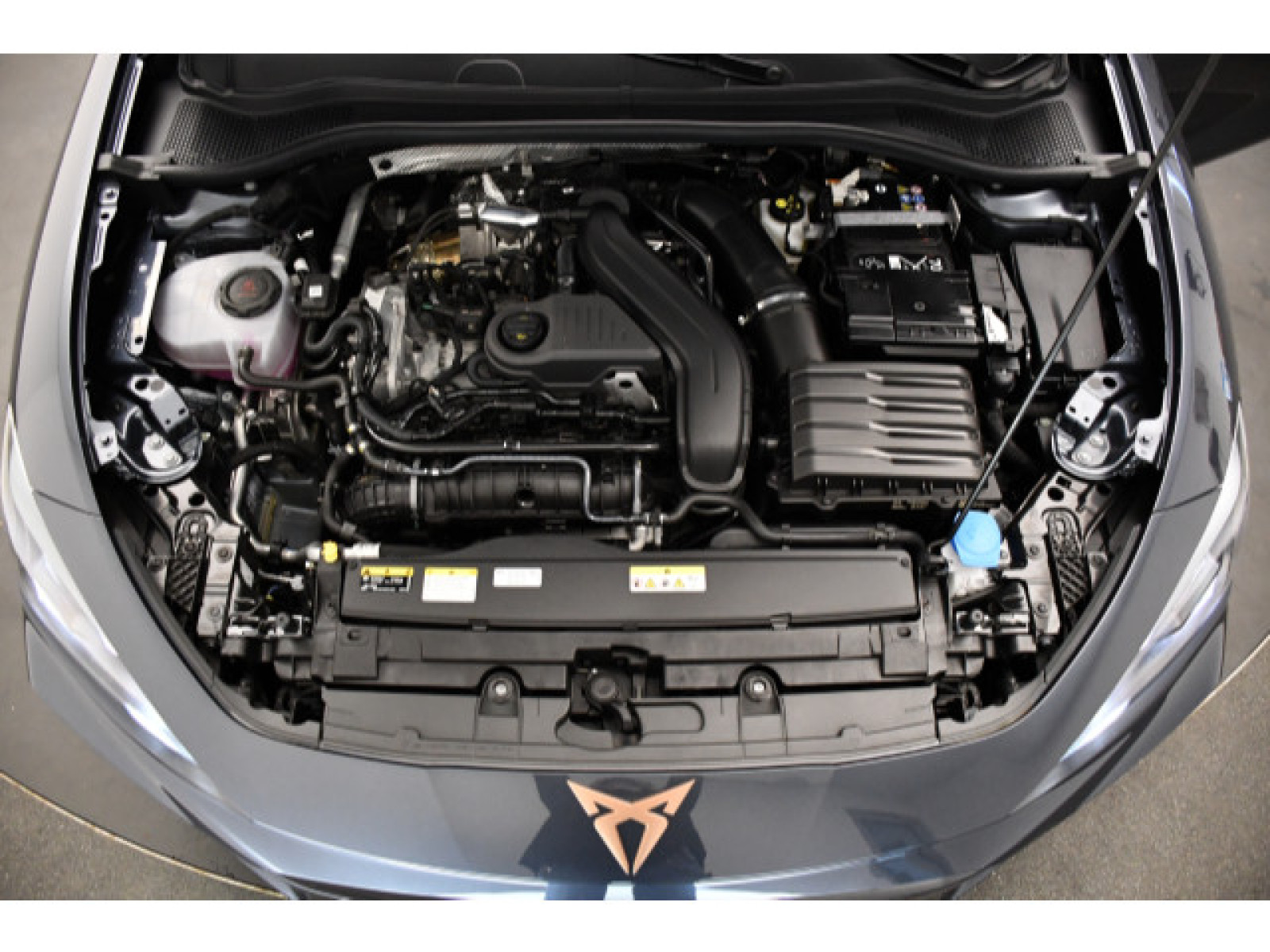 Cupra - Leon_12