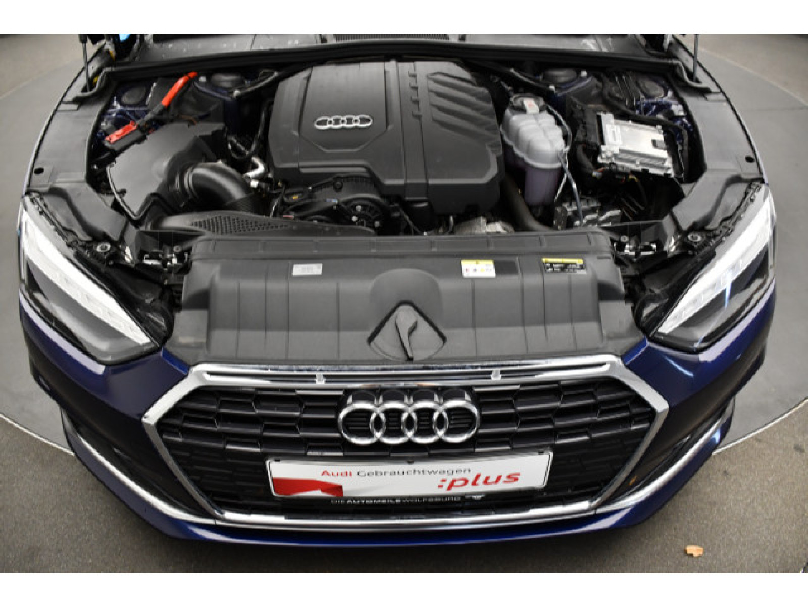 motor-aussen