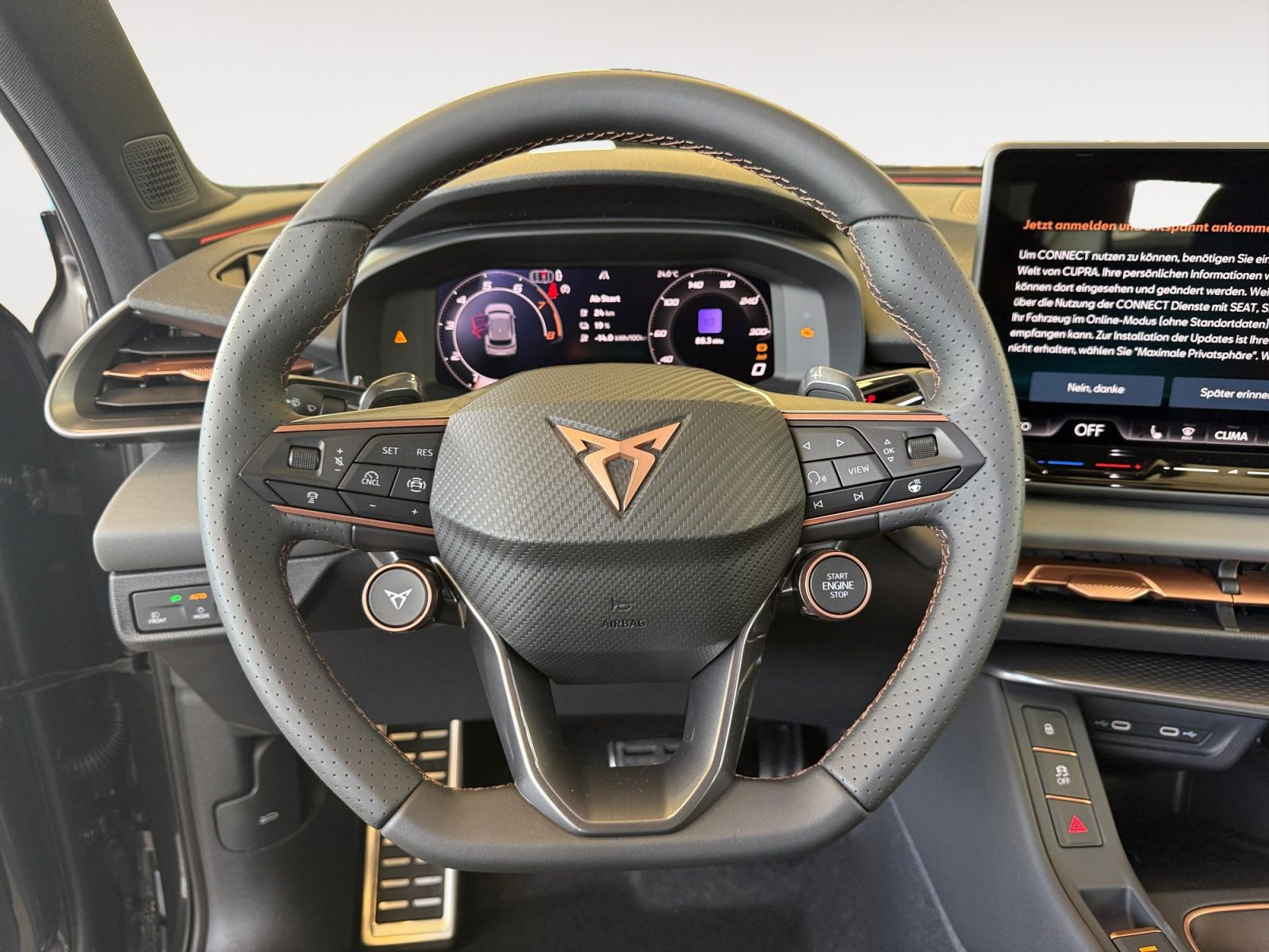 Cupra - Terramar_13