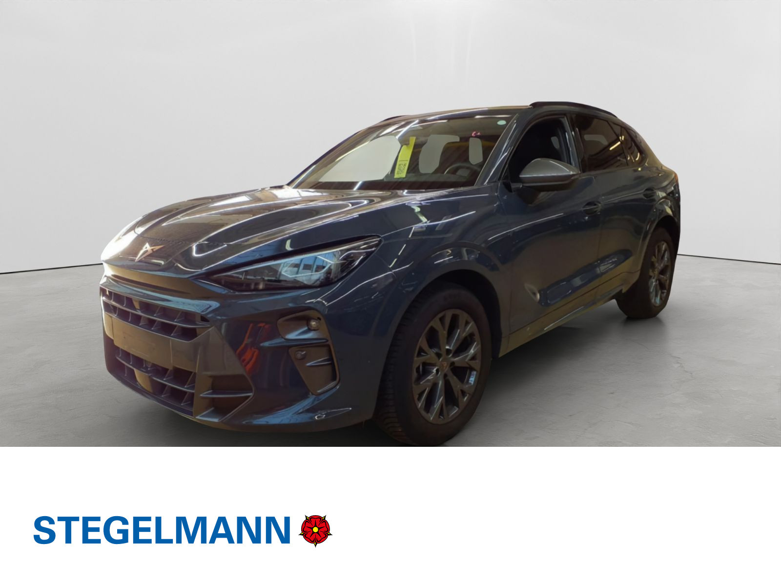 Fahrzeugbild_1