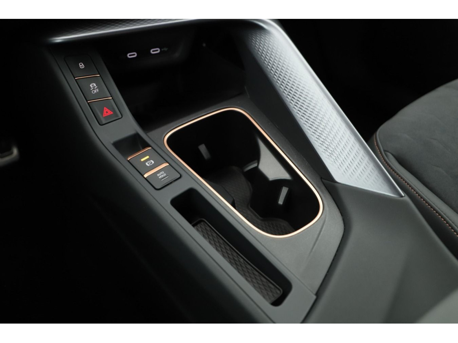 Cupra - Terramar_12